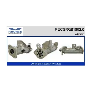 RECSRG81002.0 RECOFICIAL