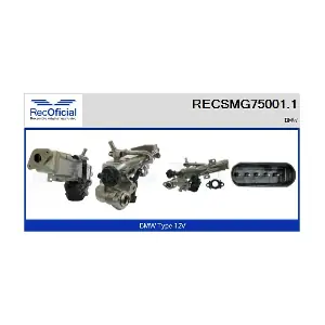 RECSMG75001.1 RECOFICIAL