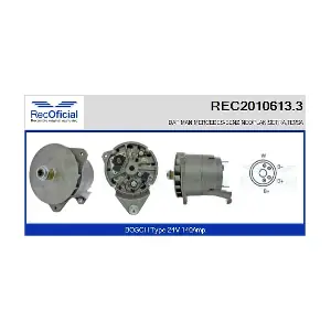 RECOFICIAL REC2010613.3