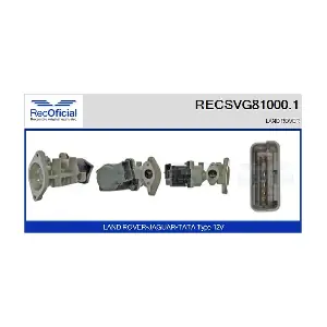 RECSVG81000.1 RECOFICIAL