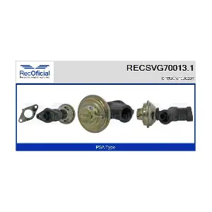 RECSVG70013.1 RECOFICIAL