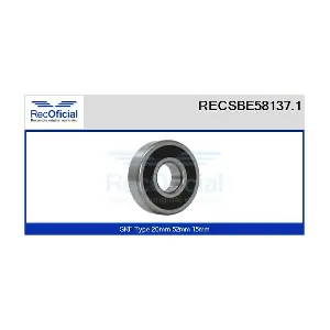 RECSBE58137.1 RECOFICIAL