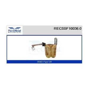 RECSSF10036.0 RECOFICIAL