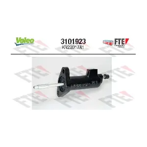 3101923 FTE