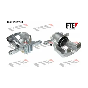 9296133 FTE