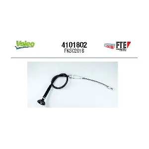 FTE 4101802