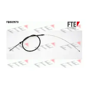 9250079 FTE