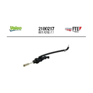 FTE 2100217