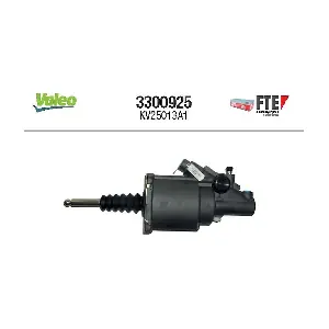 3300925 FTE
