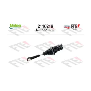 2110219 FTE