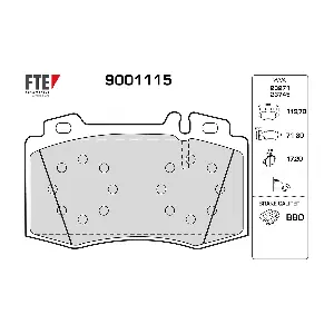 FTE 9001115