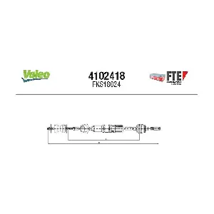 FTE 4102418