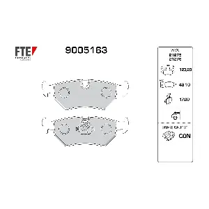 FTE 9005163