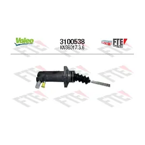 FTE 3100538