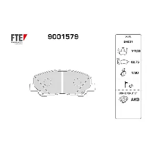 9001579 FTE