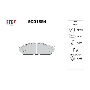 FTE 9001854