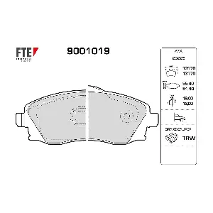 FTE 9001019