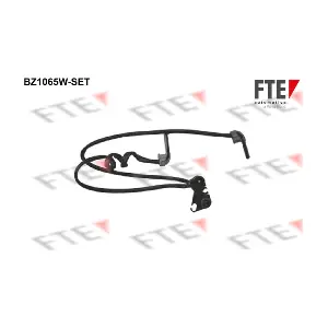 9900017 FTE