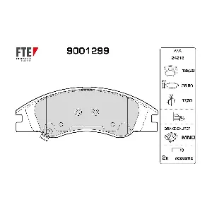 FTE 9001299