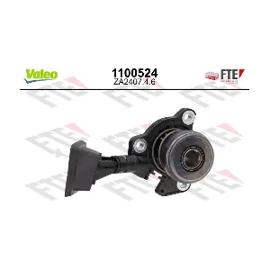 FTE 1100524