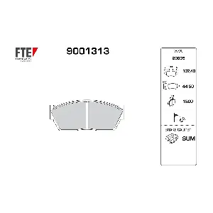 9001313 FTE