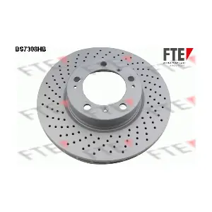9081331 FTE