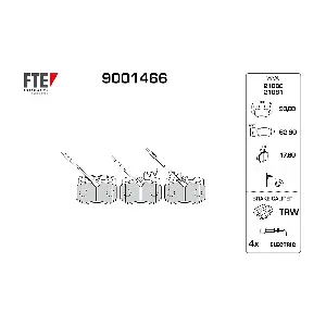 9001466 FTE