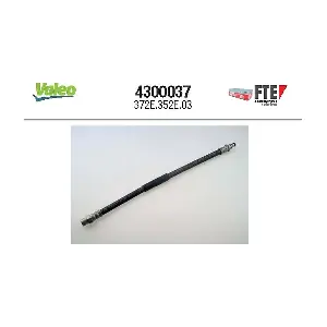 4300037 FTE
