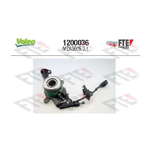 1200036 FTE