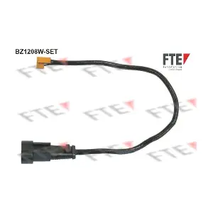 9410173 FTE