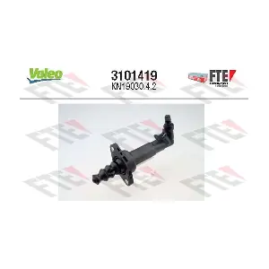 FTE 3101419