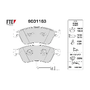 FTE 9001163
