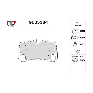 9005384 FTE