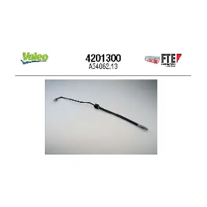 4201300 FTE