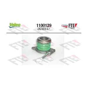 FTE 1100129