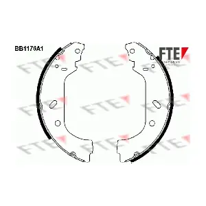 FTE 9100039