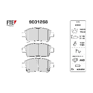 FTE 9001268
