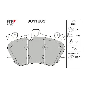 9011365 FTE