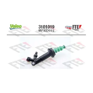 3101019 FTE