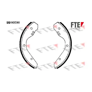 9100161 FTE