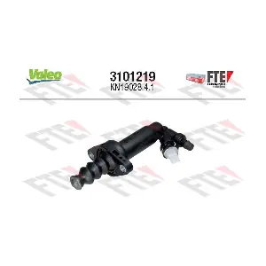 3101219 FTE