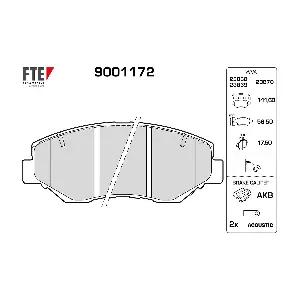 FTE 9001172