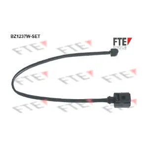 9410163 FTE