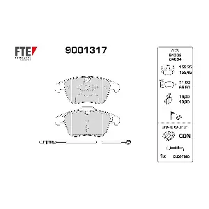 FTE 9001317