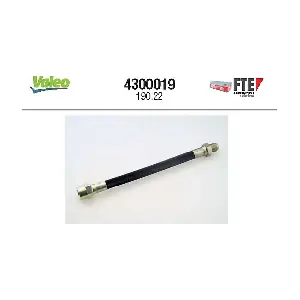4300019 FTE