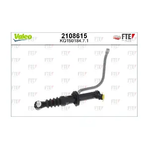 FTE 2108615