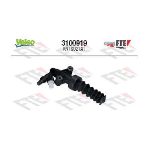 3100919 FTE
