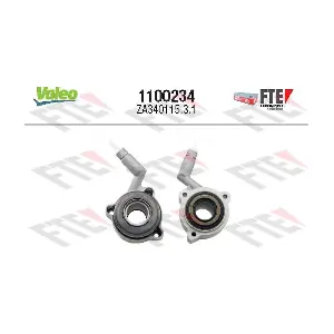 1100234 FTE