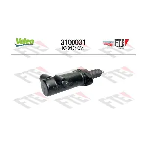 3100031 FTE