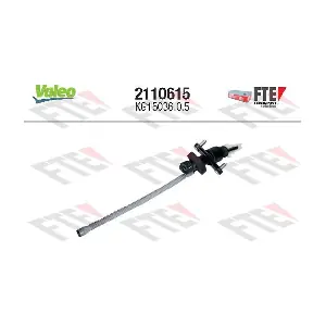 2110615 FTE
